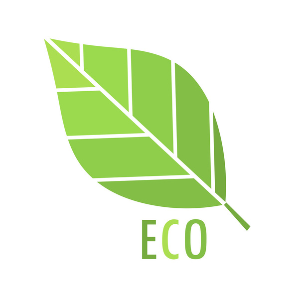 Green leaf vector - Вектор,изображение
