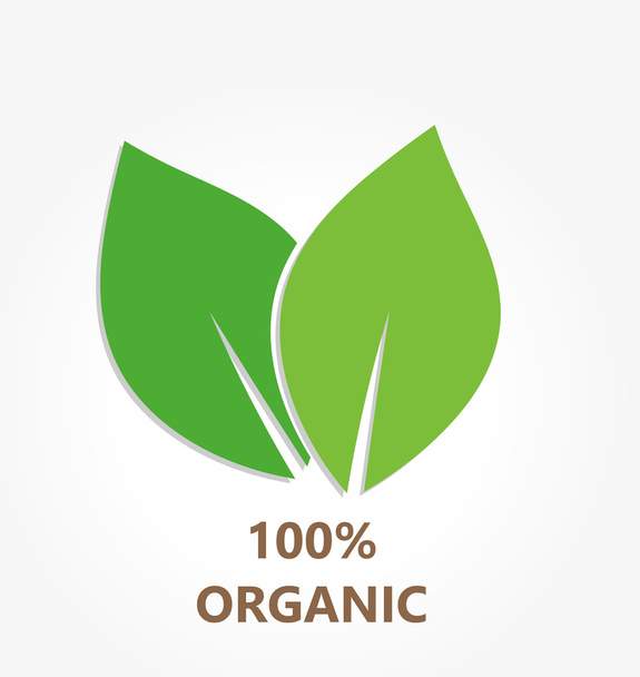 Organic leaves icon - Vektör, Görsel