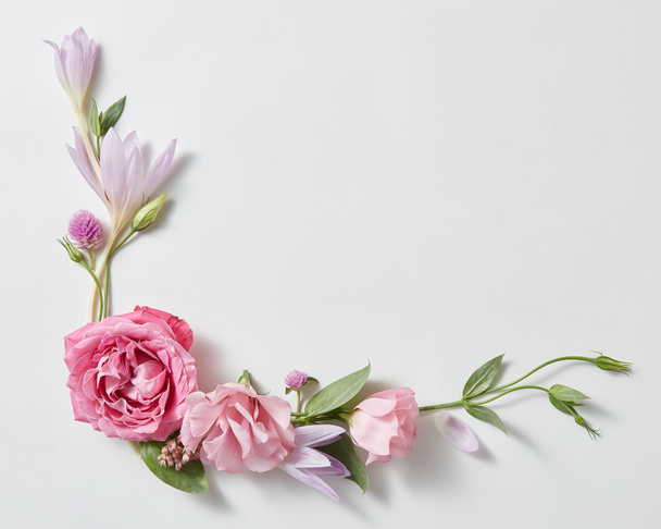 beautiful roses frame - Foto, imagen