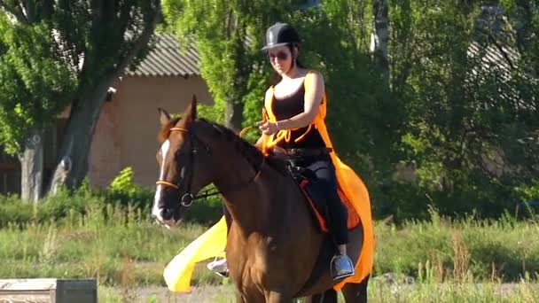 Meisje in de helm en zonnebril rijden op het paard. Slow Motion. - Video