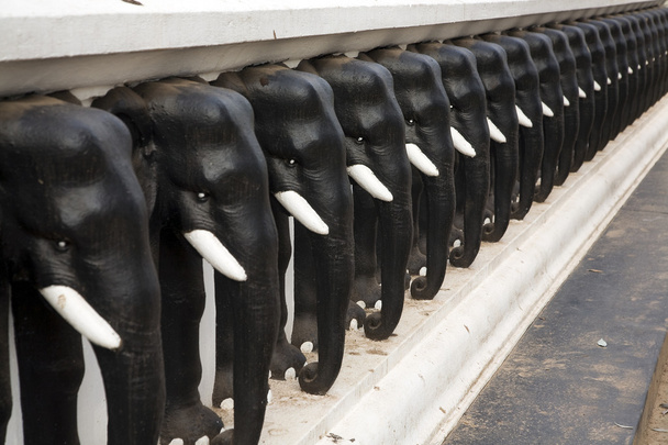 Cabezas de elefante
 - Foto, Imagen