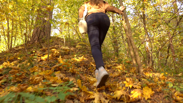 Chica morena en chaqueta marrón senderismo en bosques soleados de otoño. Escalando cuesta arriba. 4K steadicam video
 - Imágenes, Vídeo