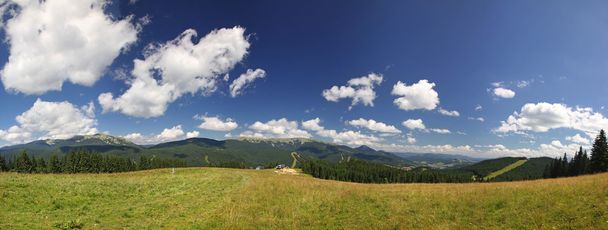 Panoramic view of Carpathian mountains - Fotografie, Obrázek