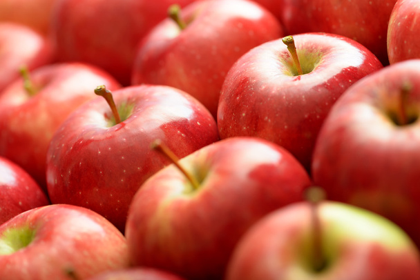 Red ripe apples - Foto, Imagen
