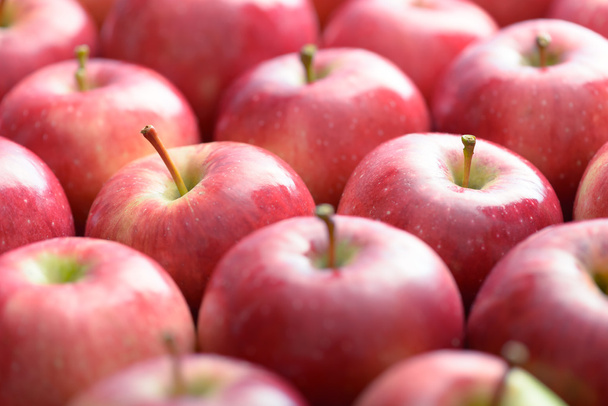 Olgun kırmızı elmalar - Fotoğraf, Görsel