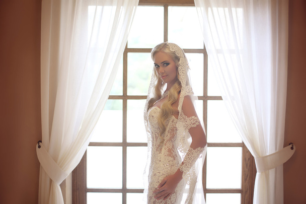 Elegant bride wedding portrait. Fashion white lace veil. Beautif - 写真・画像