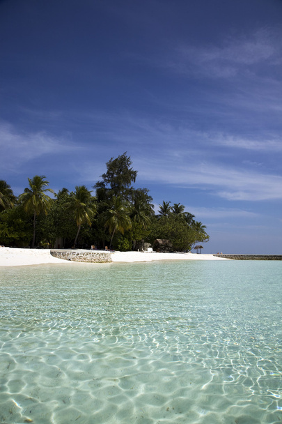 Maldivian vacation - Photo, Image