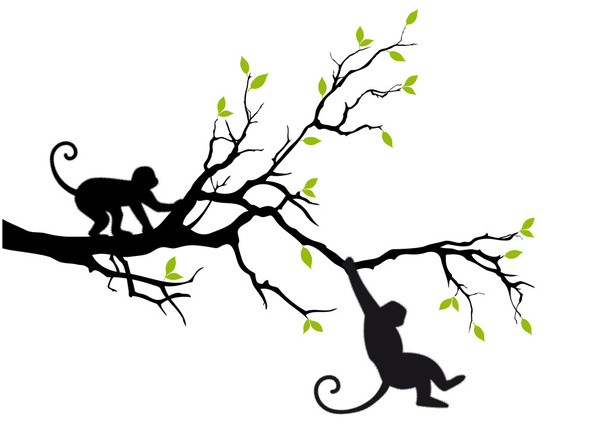 Affen auf Baum, Vektor - Vektor, Bild