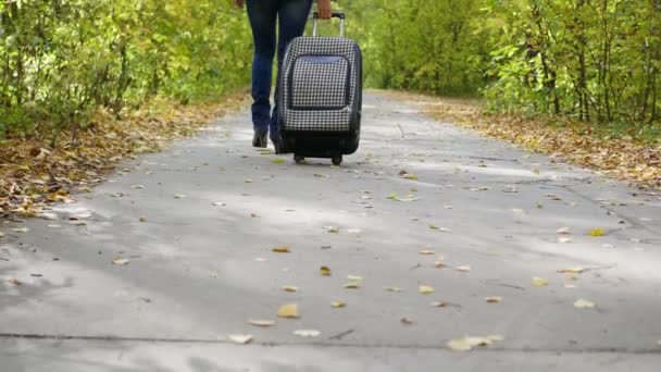 Mädchen mit Koffer läuft den Weg im Park entlang - Filmmaterial, Video