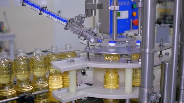 Huile de tournesol dans la bouteille se déplaçant sur la chaîne de production dans une usine mis sur des bouchons
 - Séquence, vidéo