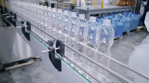 Aceite de girasol en la botella que se mueve en la línea de producción en una fábrica
 - Metraje, vídeo