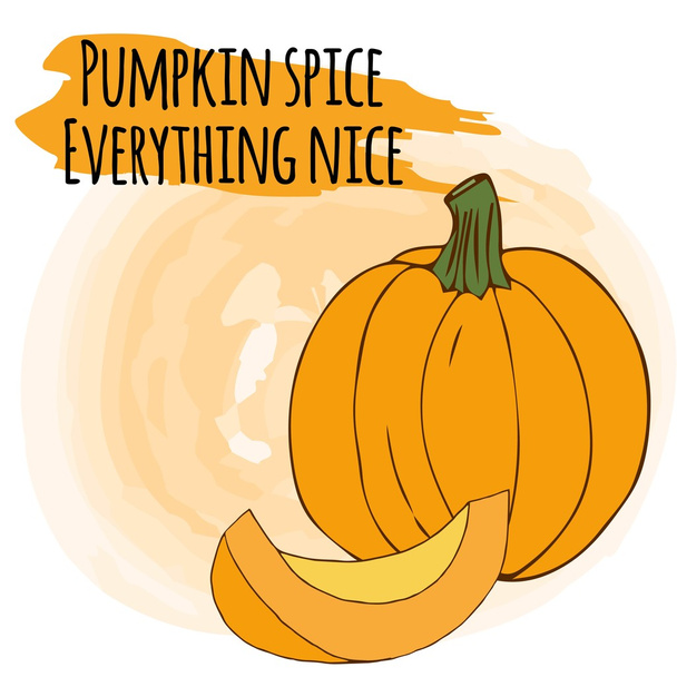 Hand drawn illustration with pumpkin on vector watercolor background. Pumpkin spice and everything nice. - Vector, Image