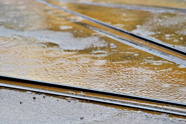 Tramway track during rainfall - 写真・画像