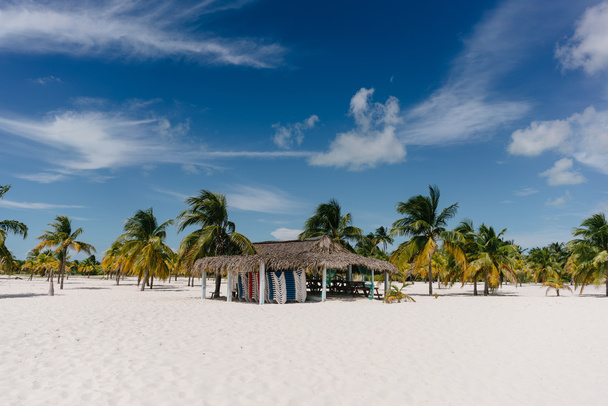 Palmeiras no Mar do Caribe na praia de areia de Cayo Largo, Cuba
 - Foto, Imagem