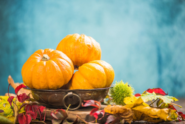 Thanksgiving concept, autumnal colors - Fotoğraf, Görsel