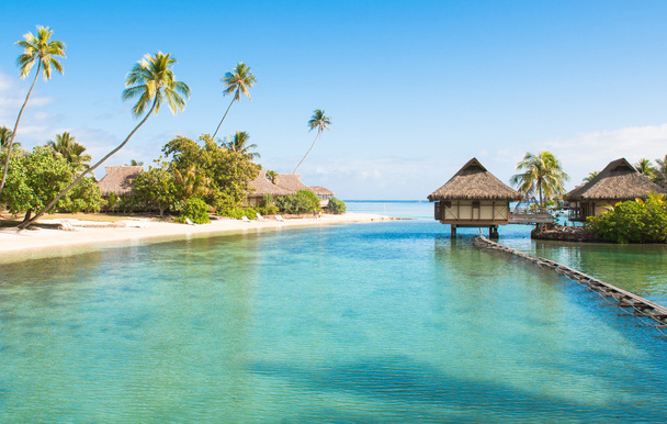 Tahiti paradicsomi - Fotó, kép
