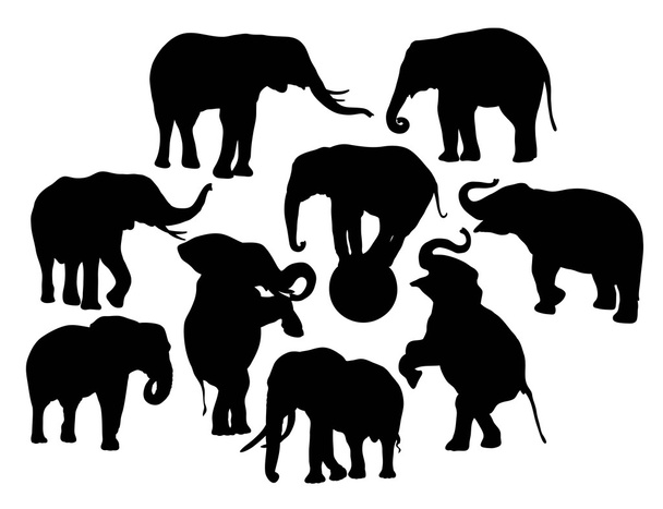 Elefante Vector siluetas
 - Vector, imagen