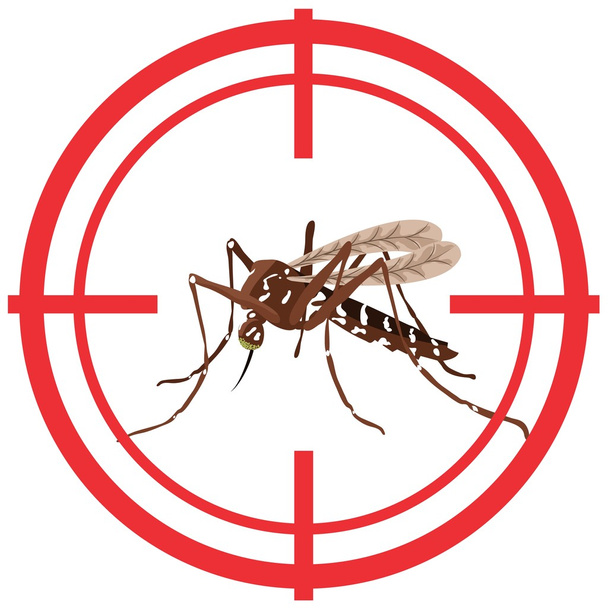 Nature, moustiques Aedes Aegypti avec cible échasses. signal de visée. Idéal pour les soins d'assainissement informationnels et institutionnels
 - Vecteur, image