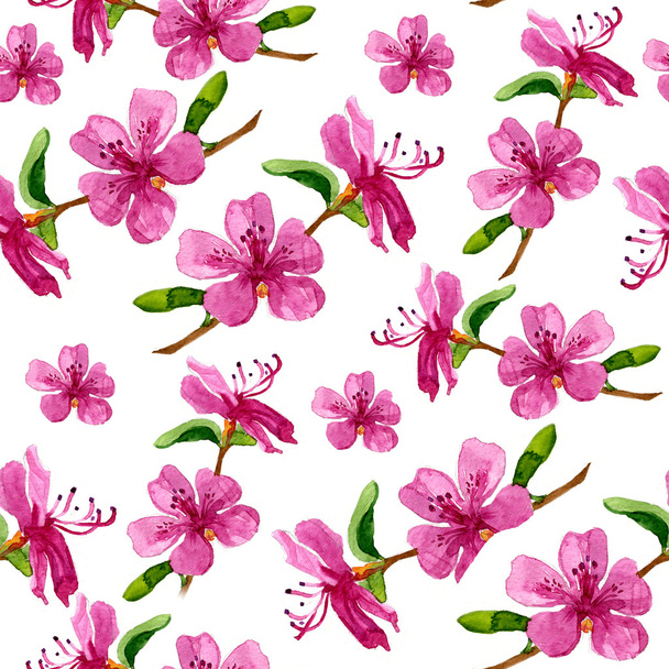 Flower of Labrador tea in seamless pattern - Foto, imagen