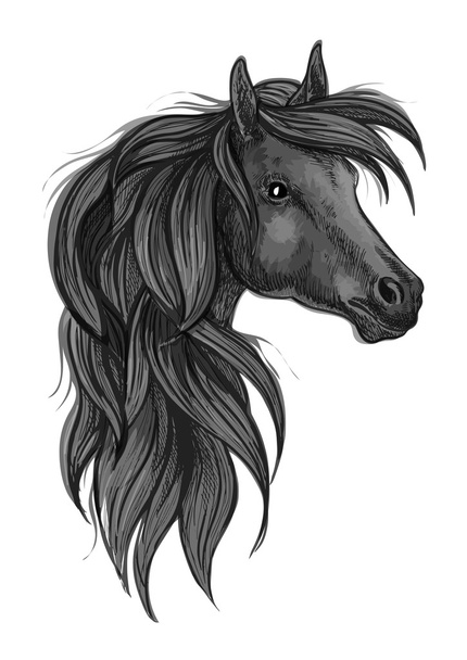 Σκίτσο του κεφάλι μαύρο καθαρόαιμο άλογο - Διάνυσμα, εικόνα