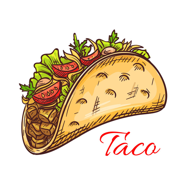 Mexican beef taco with fresh vegetables sketch - Vector, Image
