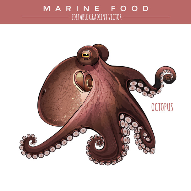 Octopus. Marine Food - Vector, afbeelding