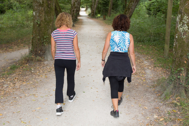 Active healthy women doing walking in summer on a park - Photo, Image