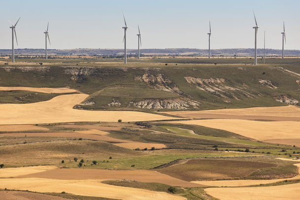 Turbiny wiatrowe na wsi. Czyste alternatywnych odnawialnych pl - Zdjęcie, obraz