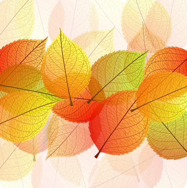 Fondo con hojas de otoño estilizadas
 - Vector, Imagen
