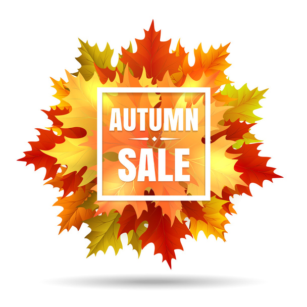 Autumn sale illustration with leaf fall - Vector, imagen