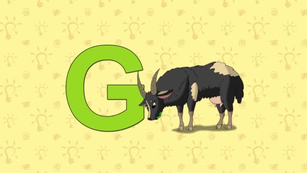Goat. English ZOO Alphabet - letter G - Footage, Video