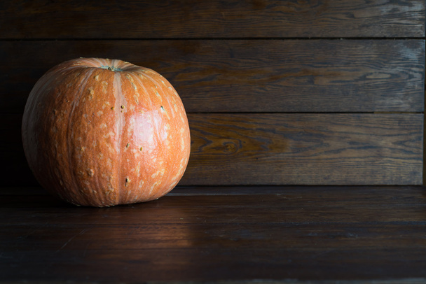 Pumpkins of different sizes and different colors on a brown background. - 写真・画像