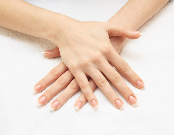 Beautiful female hands with french manicure - Foto, Imagen
