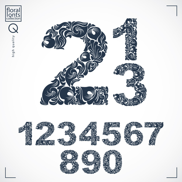 Floral hand-drawn numbers  - Vector, imagen