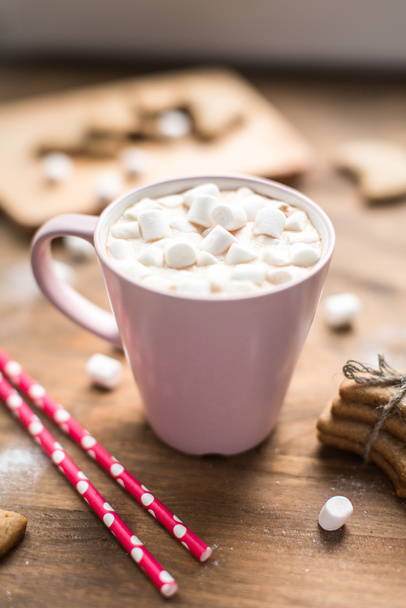 Hot cocoa with marshmallows air and ginger cookies - Photo, Image