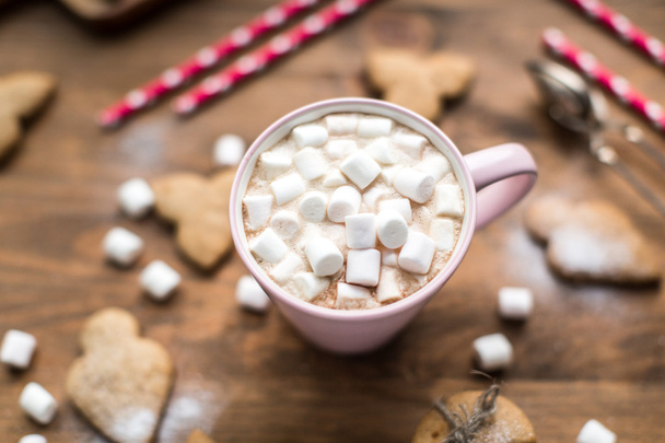 Hot cocoa with marshmallows air and ginger cookies - Foto, afbeelding