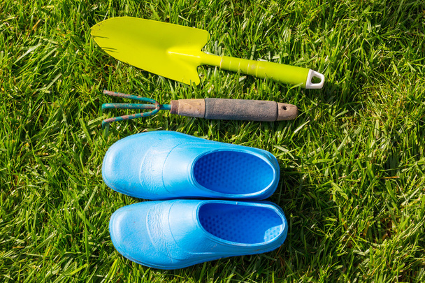 Garden tool on grass  - Photo, Image