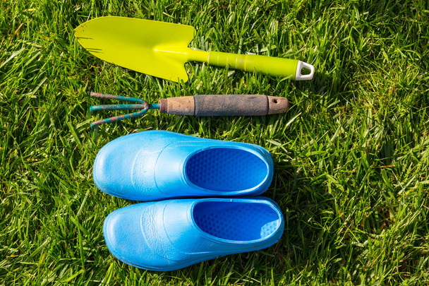 Garden tool on grass  - Photo, Image