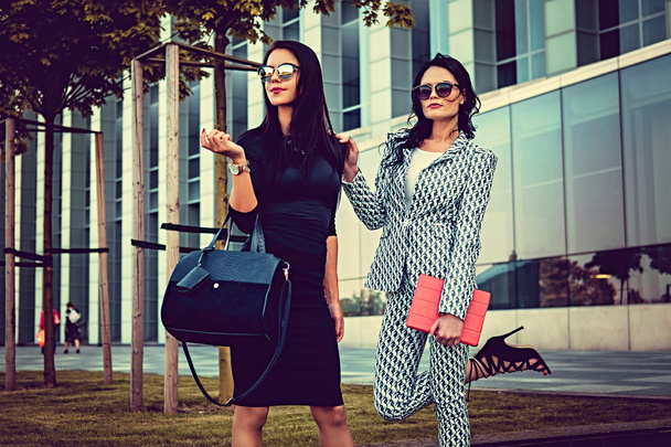 Duas mulheres na moda em roupas elegantes
 - Foto, Imagem