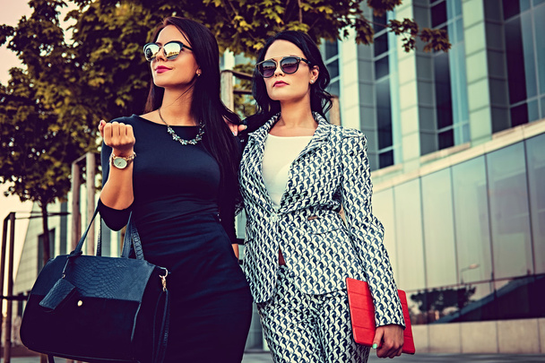 Дві модні жінки в стильному одязі
 - Фото, зображення