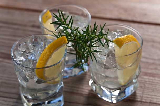 Gin with lemon and sprigs of juniper  - Photo, Image