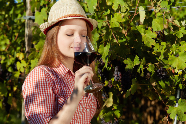 Young happy woman holding a glass of wine in the grape fields - Foto, afbeelding