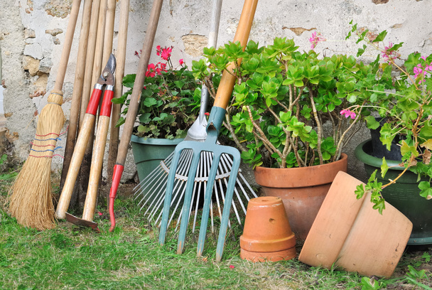 puutarhanhoito työkalut huolto
 - Valokuva, kuva