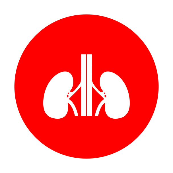 Menselijke nieren ondertekenen. Wit pictogram op de rode cirkel. - Vector, afbeelding
