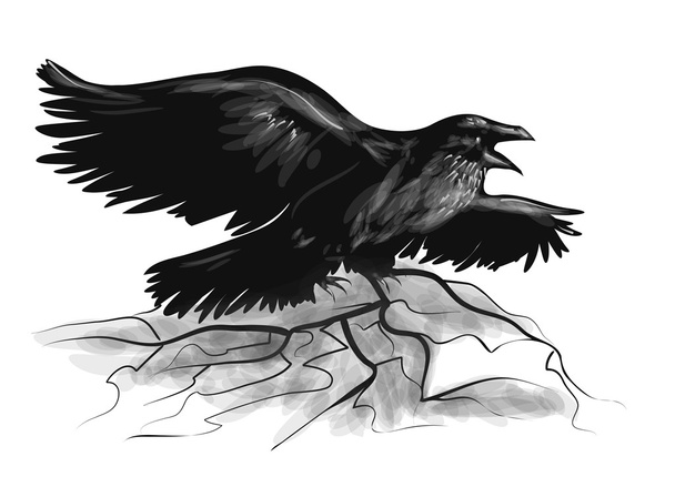 corvo em branco
 - Vetor, Imagem