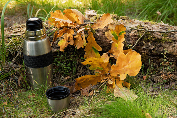 a thermos of tea in the autumn forest - Photo, Image