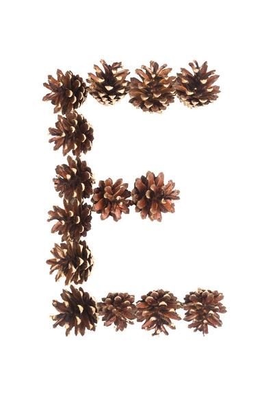 E letter made of pine cone - Photo, Image