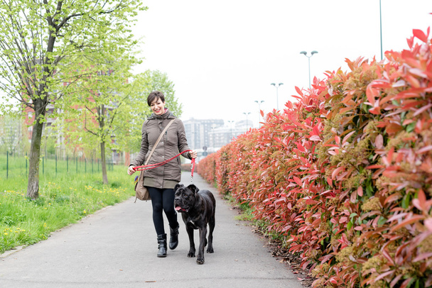 femme marche avec chien - Photo, image
