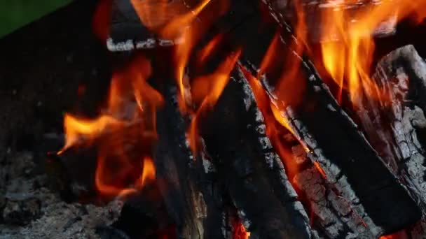 Brennendes Holz Feuer Flamme Turm in Lagerfeuer Kamin - Filmmaterial, Video