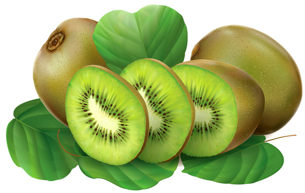Frutos kiwi con hojas
 - Vector, Imagen
